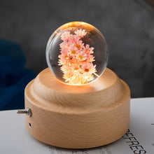 Load image into Gallery viewer, Dandelion Glowing Night Light Crystal Ball Eternal Flower Gift Wooden Birthday Gift for Girl