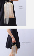 Load image into Gallery viewer, Portable Aluminum Sheets Tassels Evening Bags Banquets Sequins Clutches