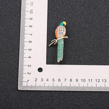 Load image into Gallery viewer, Gem Parrot brooch - 2