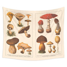 Load image into Gallery viewer, Mushroom Tapestry Wall Decor Mycology Mushroom Champignon Identification Chart Diagram Illustration Wall Art Boho Decor